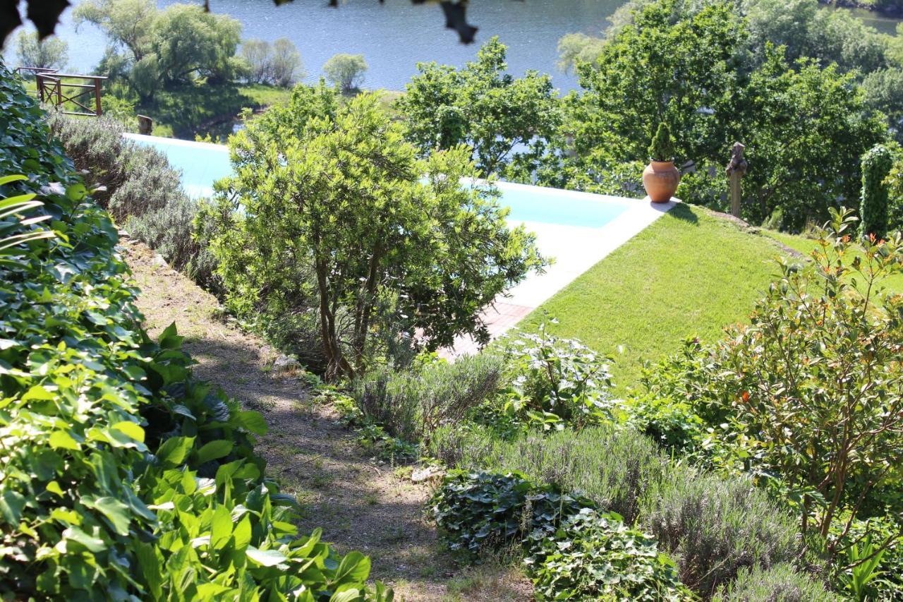 "Bouca Drigues" Casa Antiga De Pedra Com Piscina E Vista Rio Villa อามารังติ ภายนอก รูปภาพ