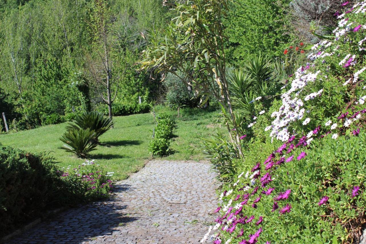"Bouca Drigues" Casa Antiga De Pedra Com Piscina E Vista Rio Villa อามารังติ ภายนอก รูปภาพ