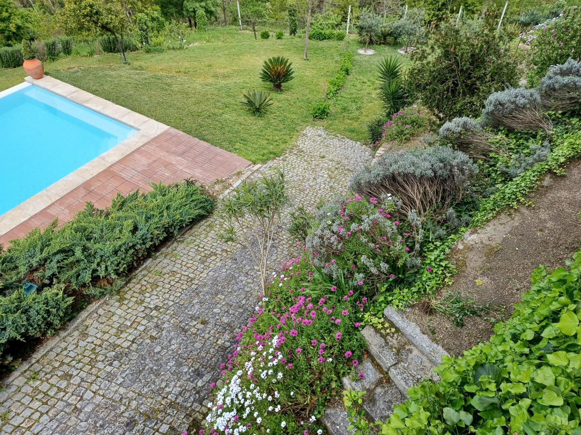 "Bouca Drigues" Casa Antiga De Pedra Com Piscina E Vista Rio Villa อามารังติ ภายนอก รูปภาพ